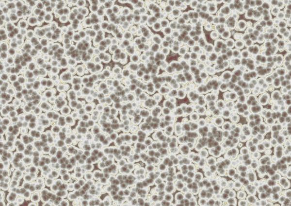 Immune support